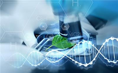 技术咨询资讯 八方资源网行业资讯与技术交流平台